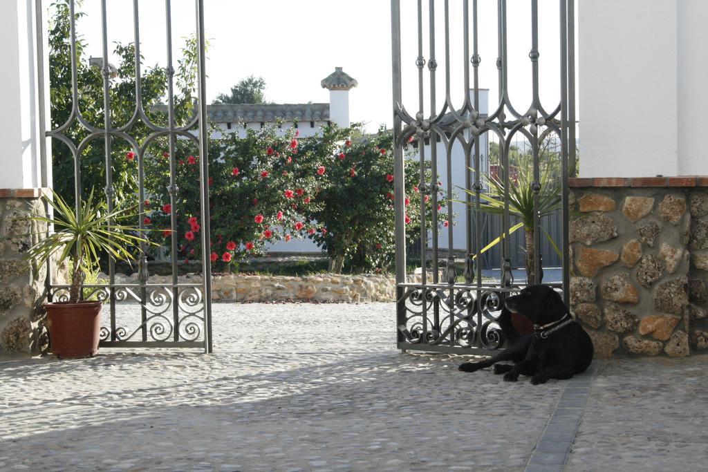 El Fogon Del Duende Bed & Breakfast Arcos de la Frontera Exterior photo